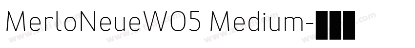 MerloNeueW05 Medium字体转换